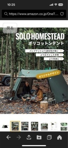 ワンティグリステント