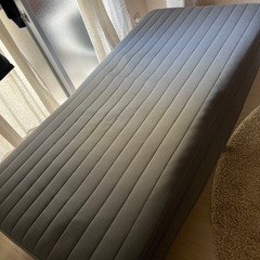 セミダブルベット