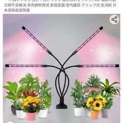 植物育成ライト　観葉植物