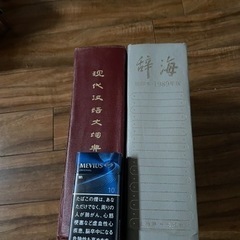 中国で買った大辞典　の画像