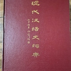 中国で買った大辞典　の画像