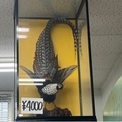 とり
