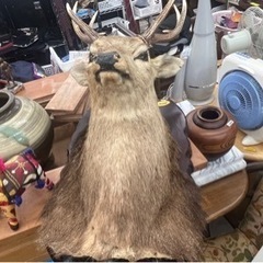 鹿