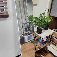 ニトリ鏡【無料でお譲りします】