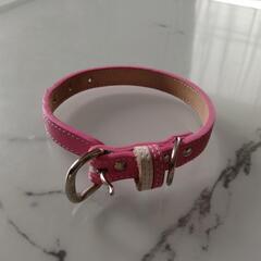 パピー用首輪