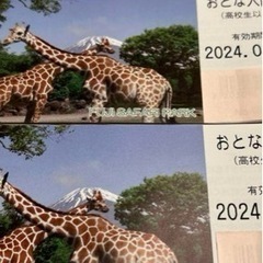 富士サファリパーク　チケット2枚