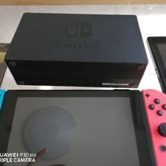 ニンテンドースイッチドッグ