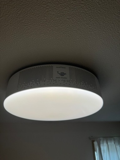 ポップインアラジン2