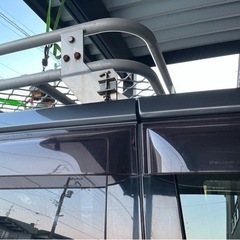 サバティカル アルニカ