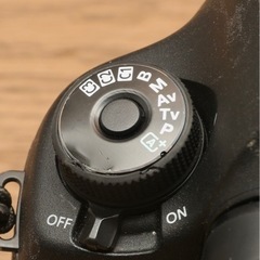 Canon 5D markⅢの画像