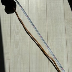 ハスの花のドライフラワー 01の画像