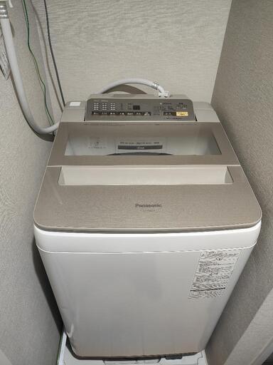 家電 生活家電 洗濯機