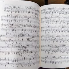 ショパン　ソナタ　未使用　パデレフスキ版(日本語)の画像