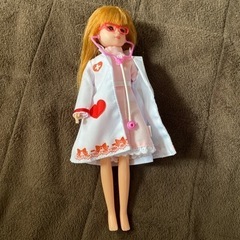 リカちゃんにぎやかペットショップ　決まりました
の画像