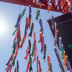 50代〜街ランメンバー募集 - 渋谷区
