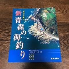 空から見た新青森の海釣り