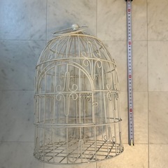 インテリア　鳥かごの画像