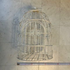 インテリア　鳥かごの画像