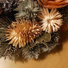 スタジオクリップ　ドライフラワー　リースの画像