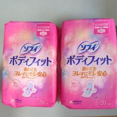 ソフィボディフィット
ふつうの日用
羽付き
21センチ
ユニ・チ...