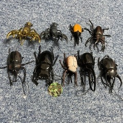カブトムシ　クワガタ　ストラップ　キーホルダー