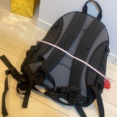 Coleman リュックの画像