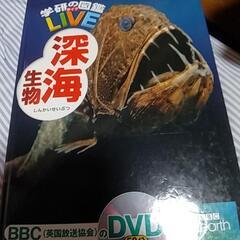 図鑑