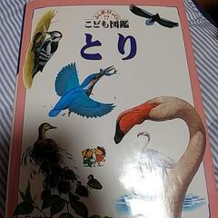 本/CD/DVD 絵本