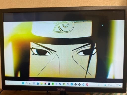 Thinlerain モニター 19インチモニター