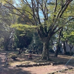 同性の女友達募集