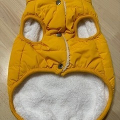 わんちゃん用の服の画像