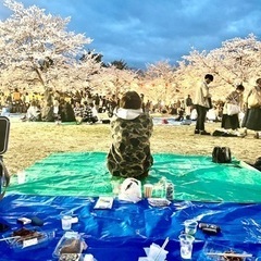 【4月7日開催】お花見交流会🌸