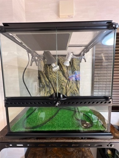 エキゾテラ 爬虫類 飼育セット ケージ ライト ヒーター