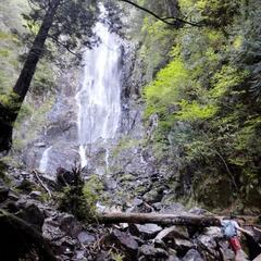 土日などに登山されてますか?