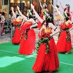 フラダンス教室✨初心者さん大募集🌺✨の画像