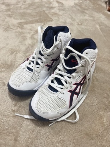 asics子供用バッシュ/20cm