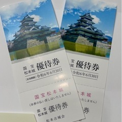 松本城　入場券　ペアチケット