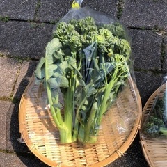 無肥料農業塾受講生募集中の画像