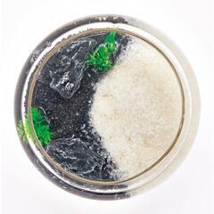 テーブルアクア フラットポットSの画像