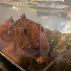 やる気のある方歓迎☺️！の画像