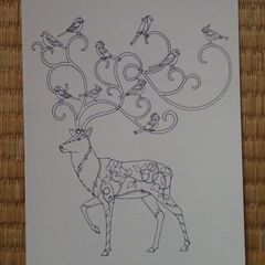 大人の塗り絵はがきの画像