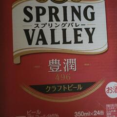 キリン ビール SPRING VALLEY 豊潤 496 スプリ...