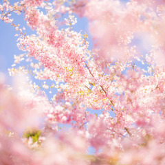 もう騙されたくない😭起業のために頑張る女性を応援🌸
