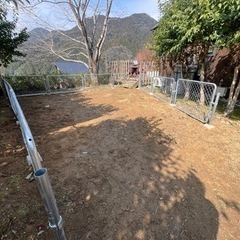 ドッグランや芝張りの画像