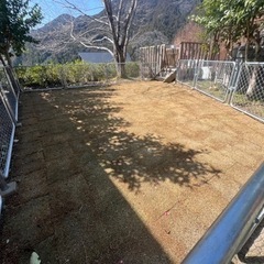 ドッグランや芝張りの画像