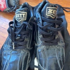 野球 グローブ シューズセットの画像