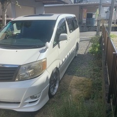 トヨタ　アルファード　ANH10 前期　車庫調　サンルーフの画像
