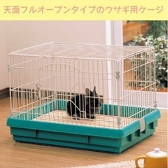 ラビットゲージ 新品✨の画像