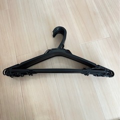 ハンガー 洗濯用品 10本セット
