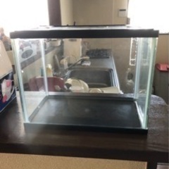 水槽セット